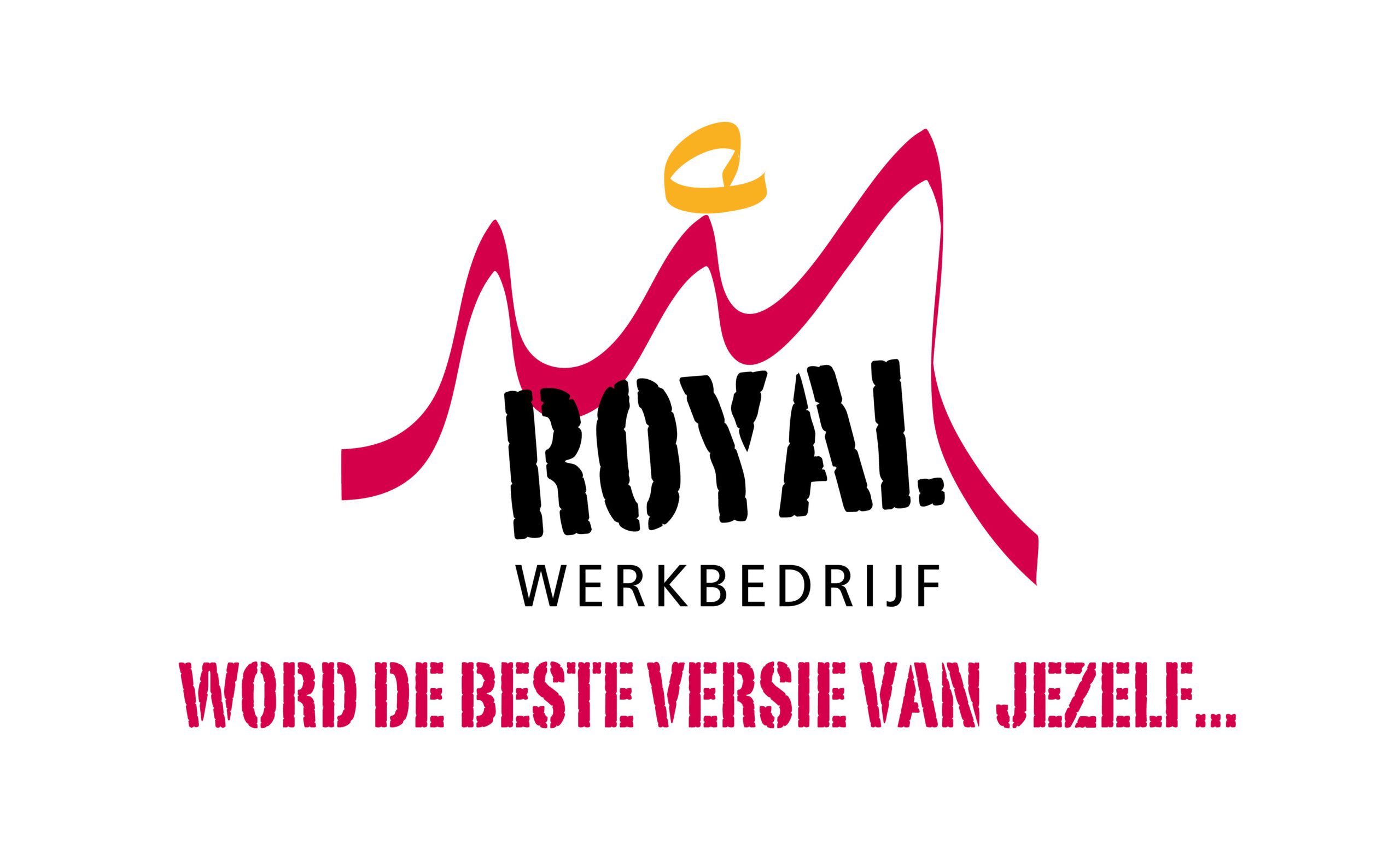 Royal Werkbedrijf sponsort it Doarp Grou