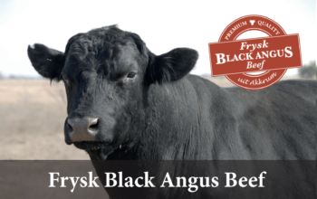 Frysk Black Angus BV